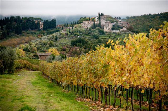 Agriturismo Podere Torre Villa Greve in Chianti Buitenkant foto