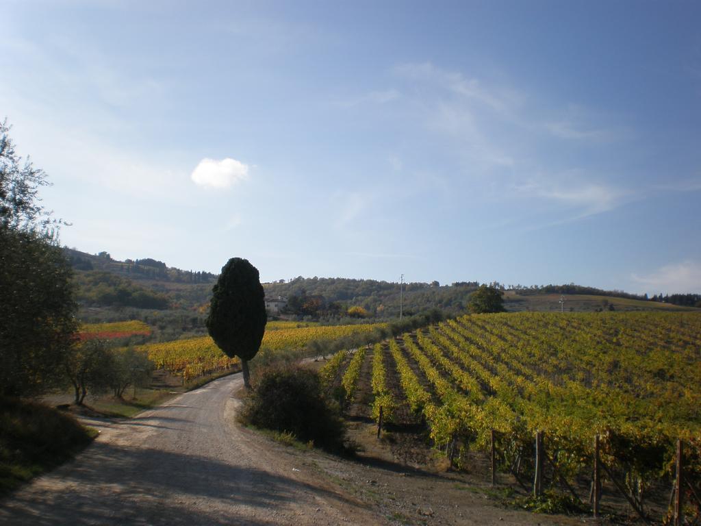 Agriturismo Podere Torre Villa Greve in Chianti Buitenkant foto