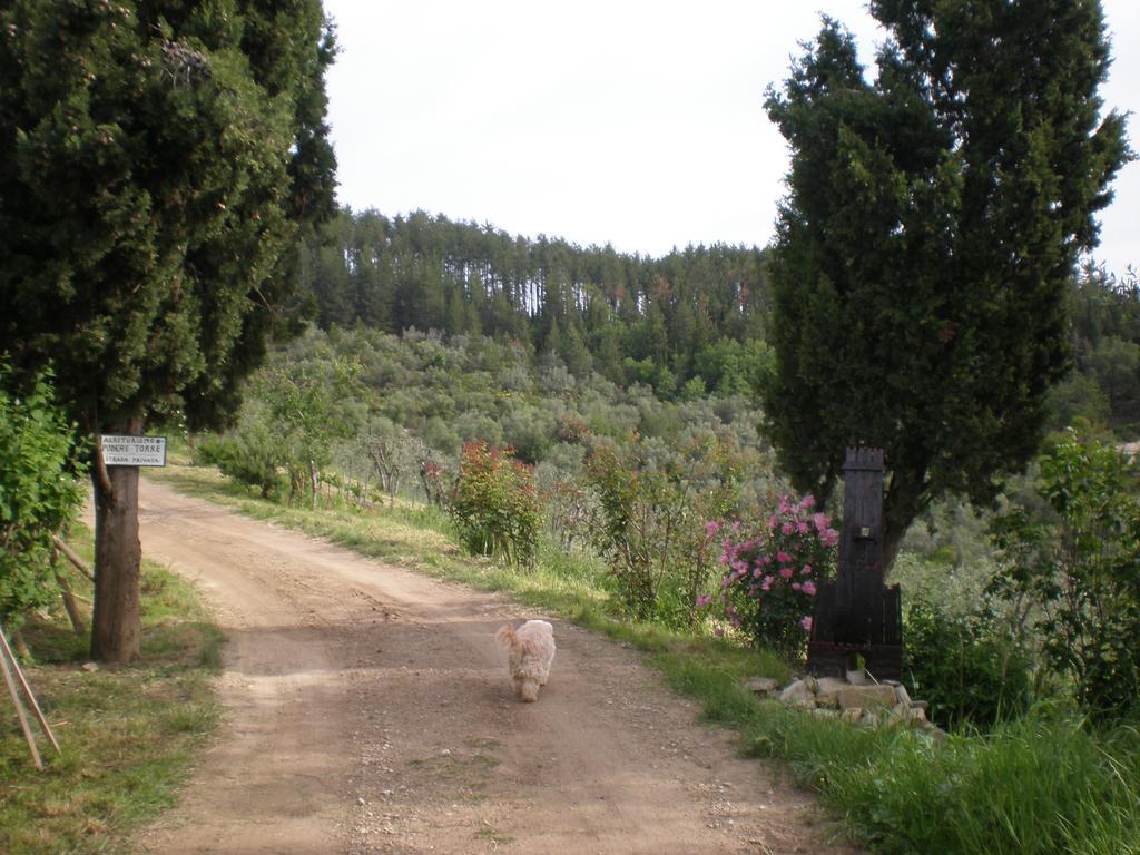 Agriturismo Podere Torre Villa Greve in Chianti Buitenkant foto