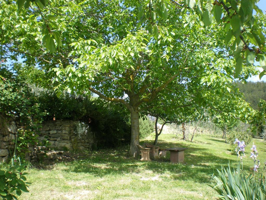 Agriturismo Podere Torre Villa Greve in Chianti Buitenkant foto