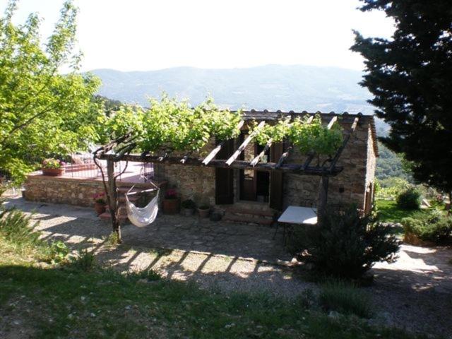 Agriturismo Podere Torre Villa Greve in Chianti Buitenkant foto